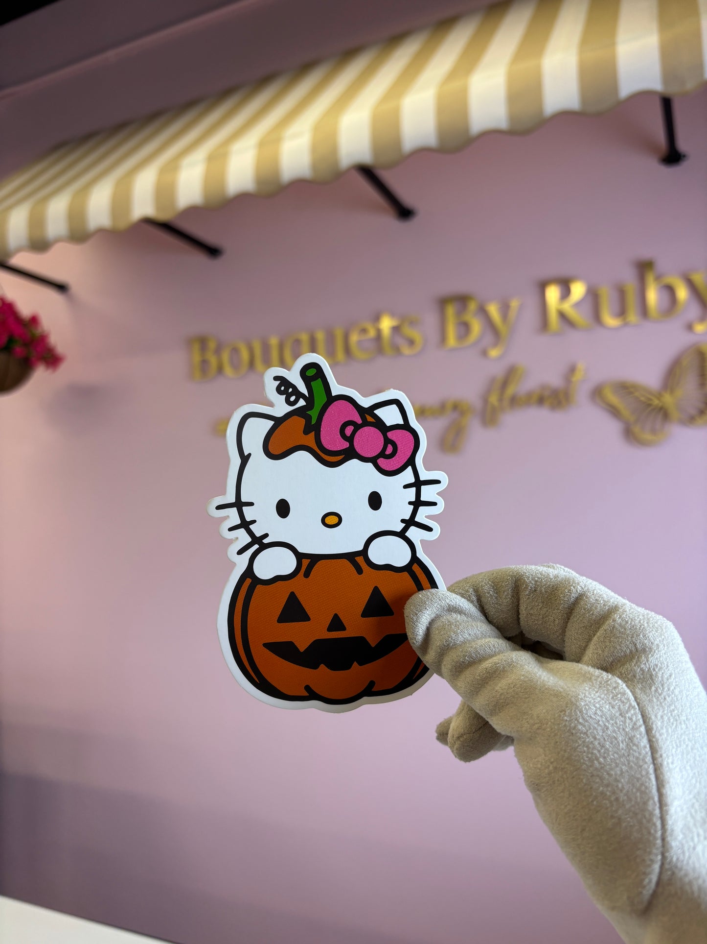 Pumpkin Hk (limited🖤)