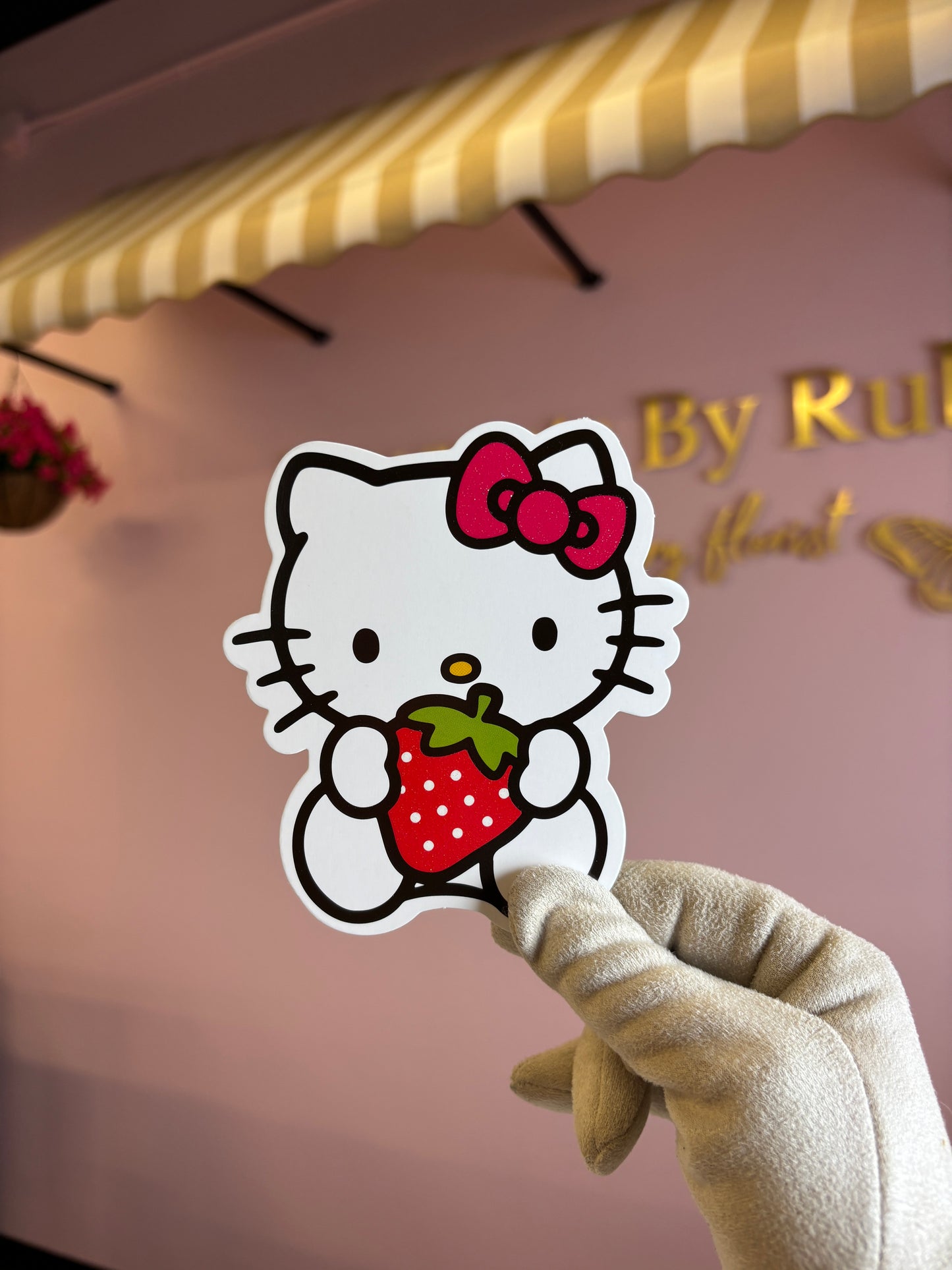Hk holding strawberry π