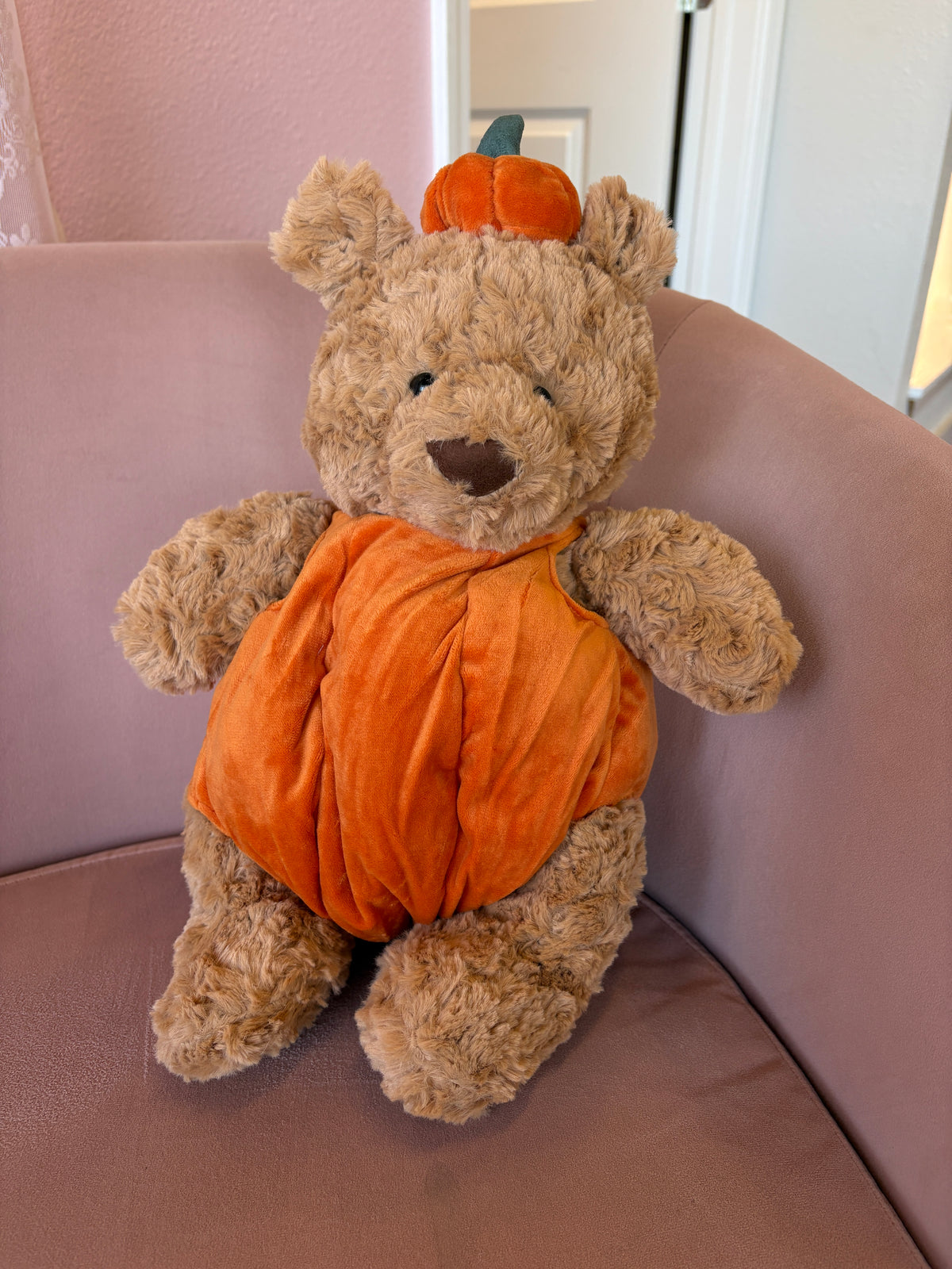 Pumpkin teddy bear🎃