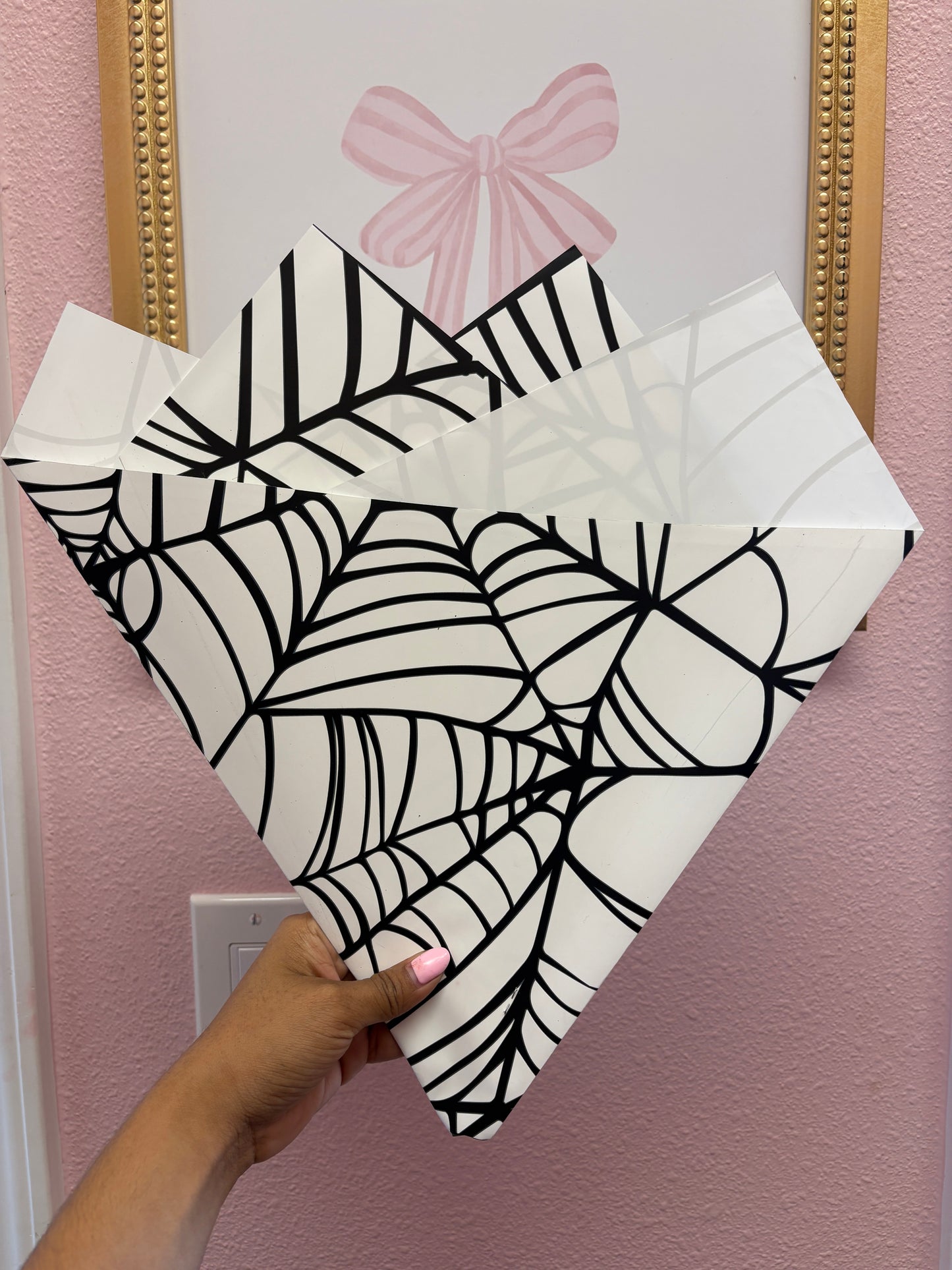 Spider Web 🕷️🕸️ Solid White