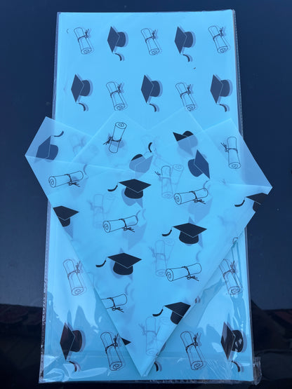 Graduation Light Blue 🎓